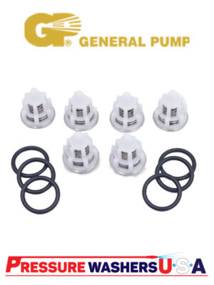 General Pump Check Valves