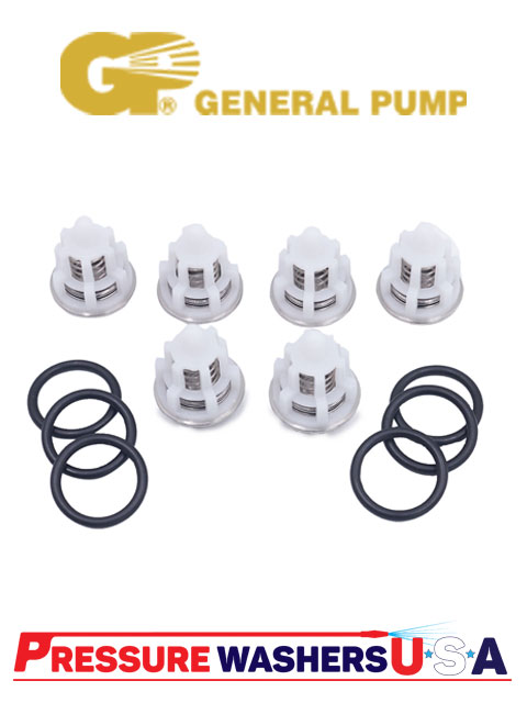 General Pump Check Valves